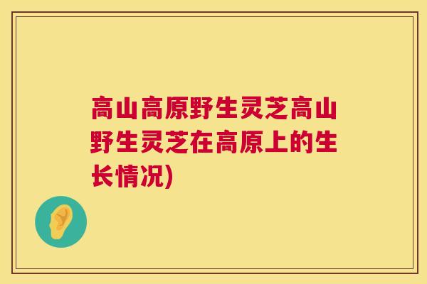 高山高原野生灵芝高山野生灵芝在高原上的生长情况)