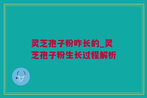 灵芝孢子粉咋长的_灵芝孢子粉生长过程解析