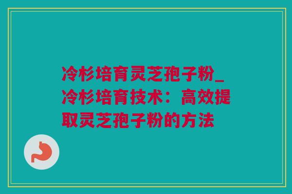 冷杉培育灵芝孢子粉_冷杉培育技术：高效提取灵芝孢子粉的方法