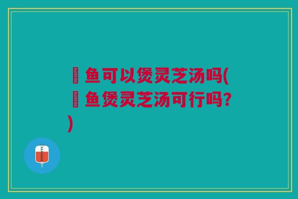 鲗鱼可以煲灵芝汤吗(鲗鱼煲灵芝汤可行吗？)