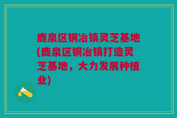 鹿泉区铜冶镇灵芝基地(鹿泉区铜冶镇打造灵芝基地，大力发展种植业)