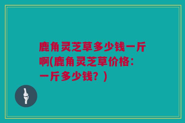 鹿角灵芝草多少钱一斤啊(鹿角灵芝草价格：一斤多少钱？)