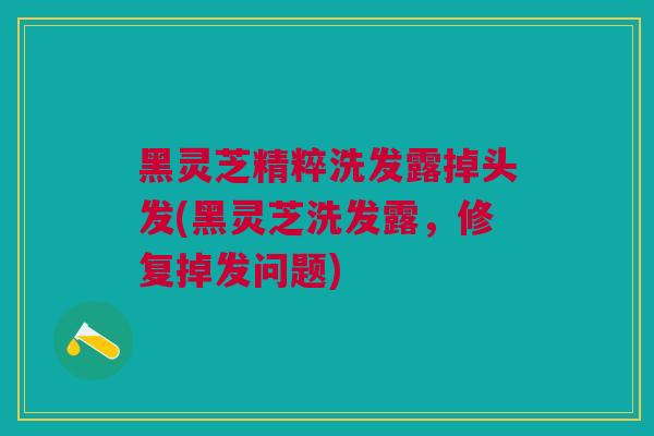 黑灵芝精粹洗发露掉头发(黑灵芝洗发露，修复掉发问题)