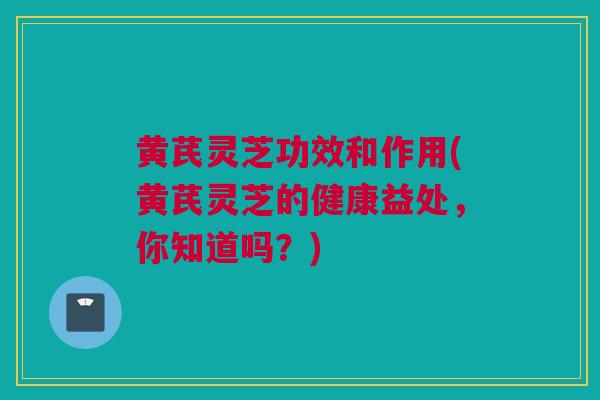 黄芪灵芝功效和作用(黄芪灵芝的健康益处，你知道吗？)