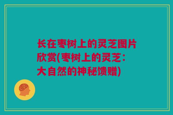 长在枣树上的灵芝图片欣赏(枣树上的灵芝：大自然的神秘馈赠)