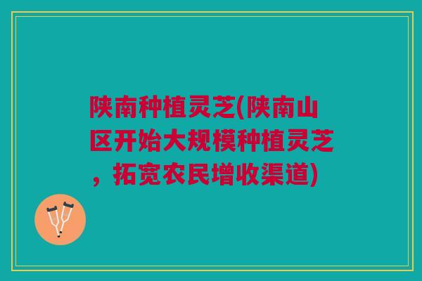 陕南种植灵芝(陕南山区开始大规模种植灵芝，拓宽农民增收渠道)