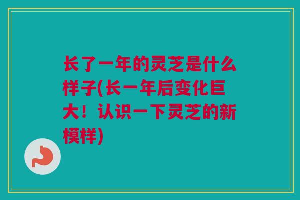 长了一年的灵芝是什么样子(长一年后变化巨大！认识一下灵芝的新模样)