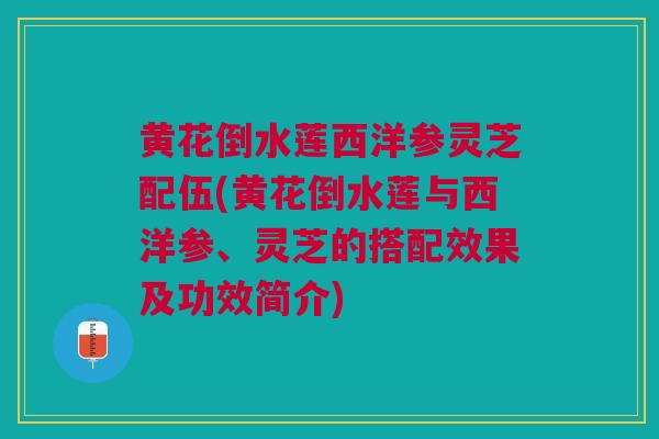 黄花倒水莲西洋参灵芝配伍(黄花倒水莲与西洋参、灵芝的搭配效果及功效简介)