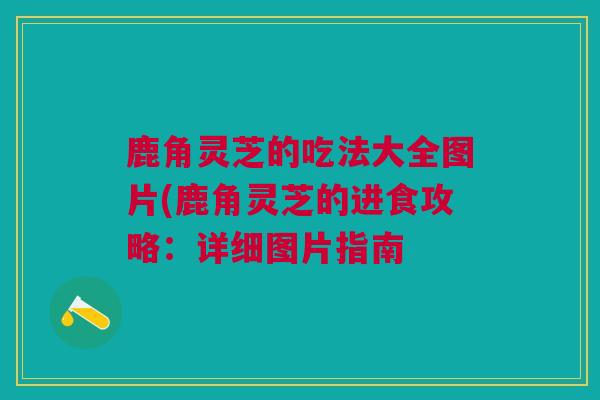 鹿角灵芝的吃法大全图片(鹿角灵芝的进食攻略：详细图片指南