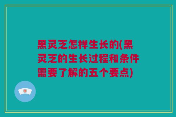 黑灵芝怎样生长的(黑灵芝的生长过程和条件需要了解的五个要点)