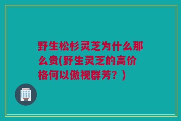 野生松杉灵芝为什么那么贵(野生灵芝的高价格何以傲视群芳？)