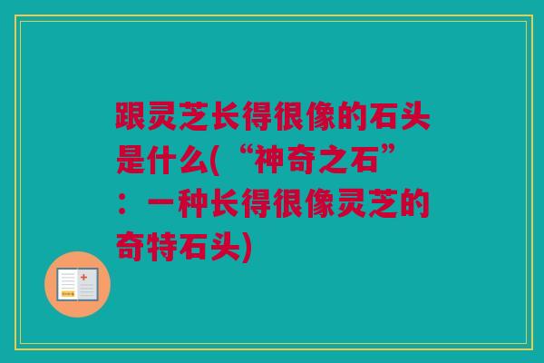 跟灵芝长得很像的石头是什么(“神奇之石”：一种长得很像灵芝的奇特石头)