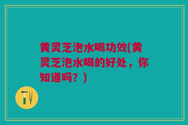 黄灵芝泡水喝功效(黄灵芝泡水喝的好处，你知道吗？)