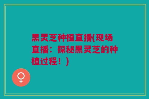 黑灵芝种植直播(现场直播：探秘黑灵芝的种植过程！)