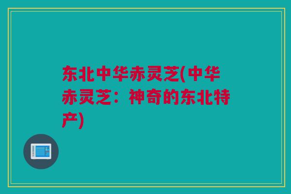 东北中华赤灵芝(中华赤灵芝:神奇的东北特产) 东北中华赤灵芝(中华赤灵芝:神奇的东北特产)
