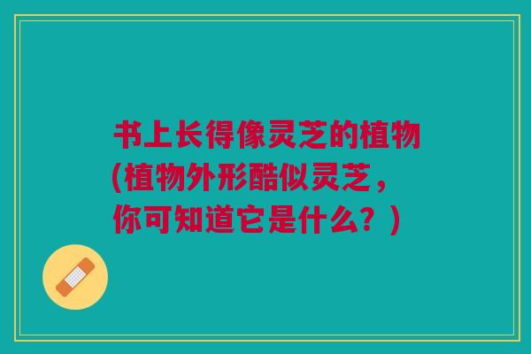书上长得像灵芝的植物(植物外形酷似灵芝，你可知道它是什么？)