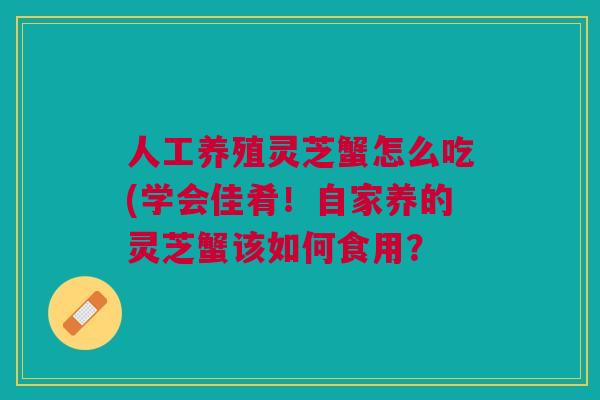 人工养殖灵芝蟹怎么吃(学会佳肴！自家养的灵芝蟹该如何食用？