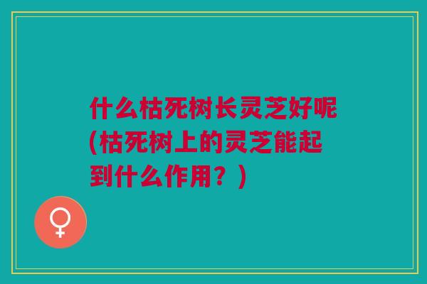 什么枯死树长灵芝好呢(枯死树上的灵芝能起到什么作用？)
