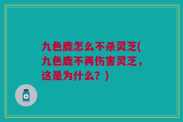 九色鹿怎么不杀灵芝(九色鹿不再伤害灵芝，这是为什么？)