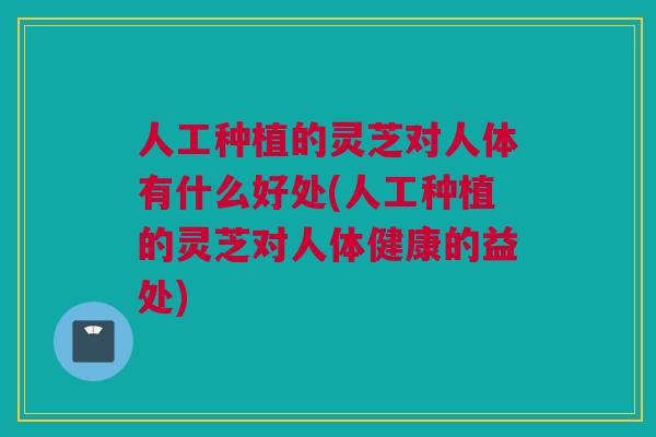 人工种植的灵芝对人体有什么好处(人工种植的灵芝对人体健康的益处) 人工种植的灵芝对人体有什么好处(人工种植的灵芝对人体健康的益处)