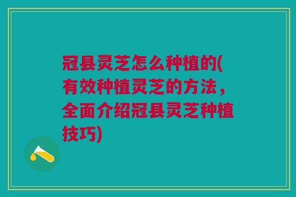 冠县灵芝怎么种植的(有效种植灵芝的方法,全面介绍冠县灵芝种植技巧) 冠县灵芝怎么种植的(有效种植灵芝的方法,全面介绍冠县灵芝种植技巧)