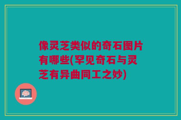 像灵芝类似的奇石图片有哪些(罕见奇石与灵芝有异曲同工之妙)
