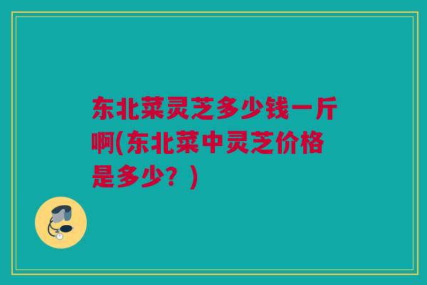 东北菜灵芝多少钱一斤啊(东北菜中灵芝价格是多少？)