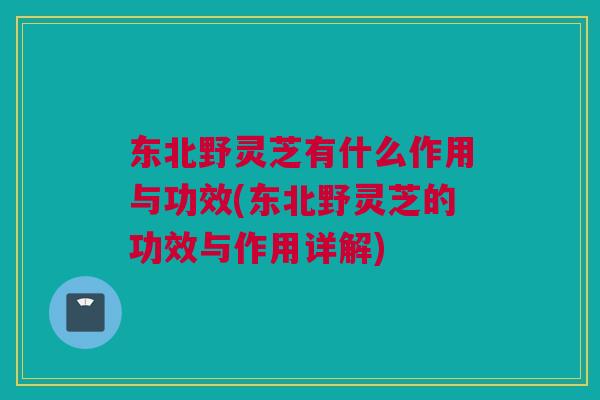 东北野灵芝有什么作用与功效(东北野灵芝的功效与作用详解) 东北野灵芝有什么作用与功效(东北野灵芝的功效与作用详解)