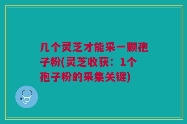 几个灵芝才能采一颗孢子粉(灵芝收获:1个孢子粉的采集关键) 几个灵芝才能采一颗孢子粉(灵芝收获:1个孢子粉的采集关键)