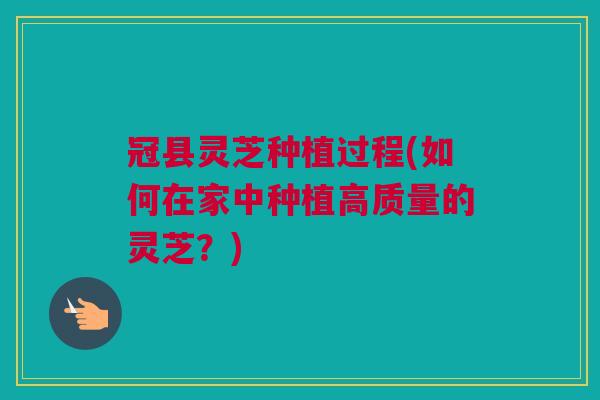 冠县灵芝种植过程(如何在家中种植高质量的灵芝？)