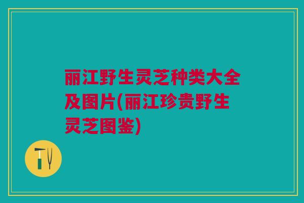 丽江野生灵芝种类大全及图片(丽江珍贵野生灵芝图鉴)
