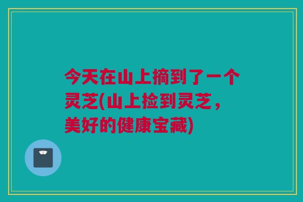 今天在山上摘到了一个灵芝(山上捡到灵芝，美好的健康宝藏)