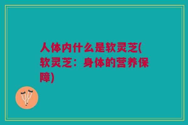 人体内什么是软灵芝(软灵芝：身体的营养保障)