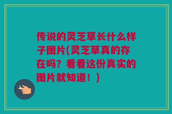 传说的灵芝草长什么样子图片(灵芝草真的存在吗？看看这份真实的图片就知道！)