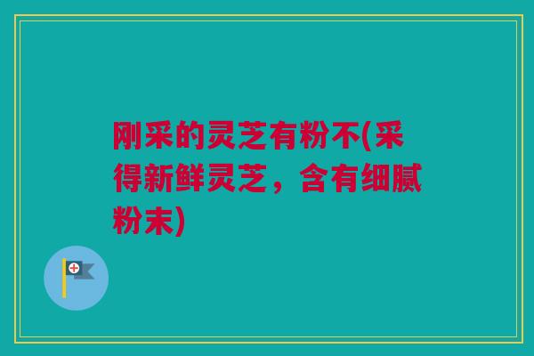 刚采的灵芝有粉不(采得新鲜灵芝，含有细腻粉末)