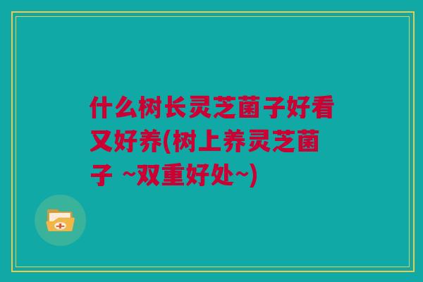 什么树长灵芝菌子好看又好养(树上养灵芝菌子 ~双重好处~)