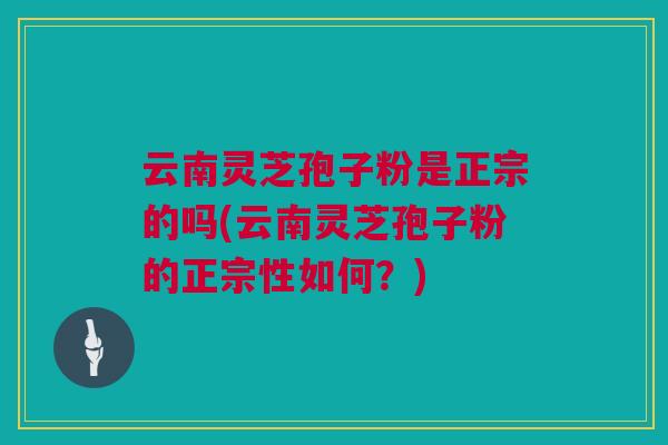 云南灵芝孢子粉是正宗的吗(云南灵芝孢子粉的正宗性如何？)