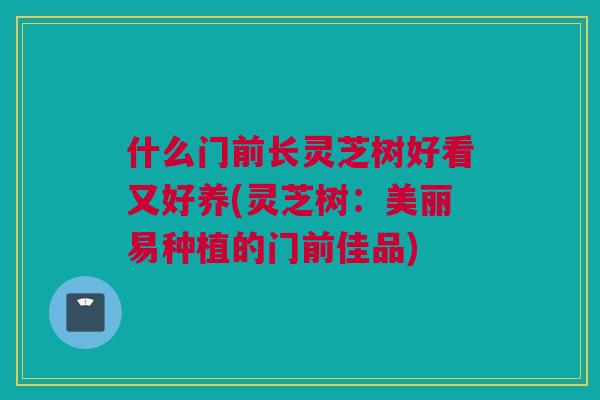 什么门前长灵芝树好看又好养(灵芝树：美丽易种植的门前佳品)