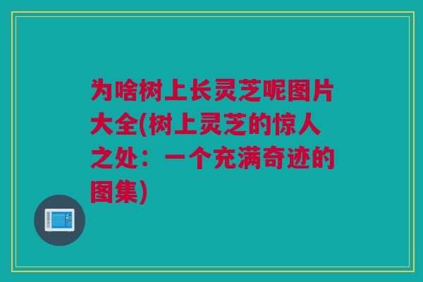 为啥树上长灵芝呢图片大全(树上灵芝的惊人之处：一个充满奇迹的图集)