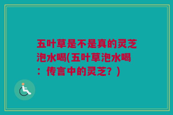 五叶草是不是真的灵芝泡水喝(五叶草泡水喝：传言中的灵芝？)