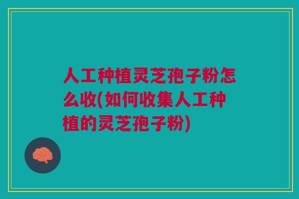 人工种植灵芝孢子粉怎么收(如何收集人工种植的灵芝孢子粉)