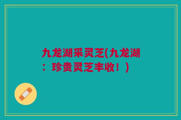 九龙湖采灵芝(九龙湖:珍贵灵芝丰收!) 九龙湖采灵芝(九龙湖:珍贵灵芝丰收!)
