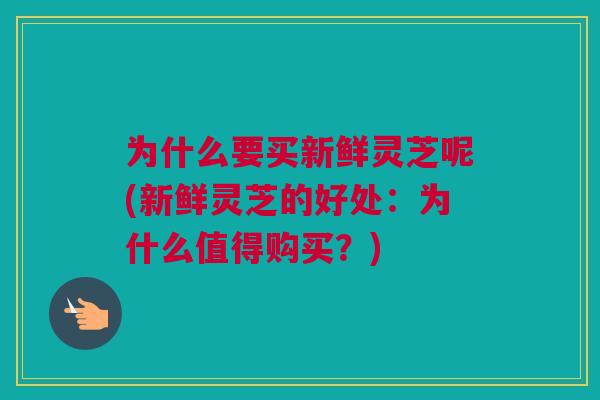 为什么要买新鲜灵芝呢(新鲜灵芝的好处:为什么值得购买?) 为什么要买新鲜灵芝呢(新鲜灵芝的好处:为什么值得购买?)
