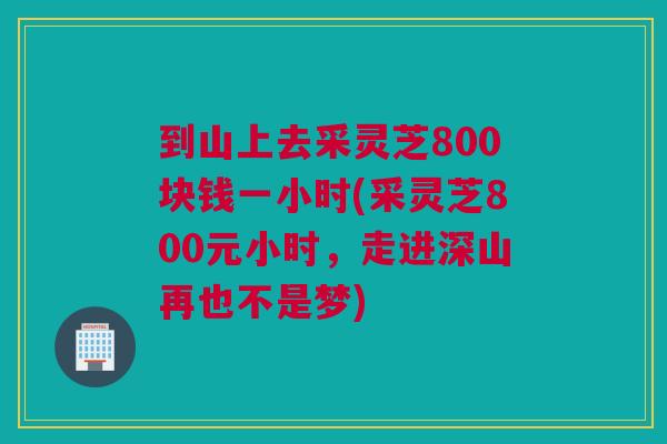 到山上去采灵芝800块钱一小时(采灵芝800元小时，走进深山再也不是梦)