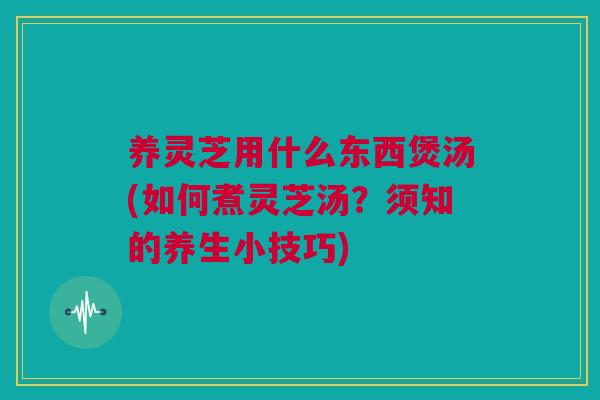 养灵芝用什么东西煲汤(如何煮灵芝汤？须知的养生小技巧)