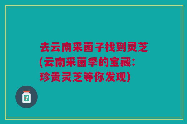 去云南采菌子找到灵芝(云南采菌季的宝藏：珍贵灵芝等你发现)
