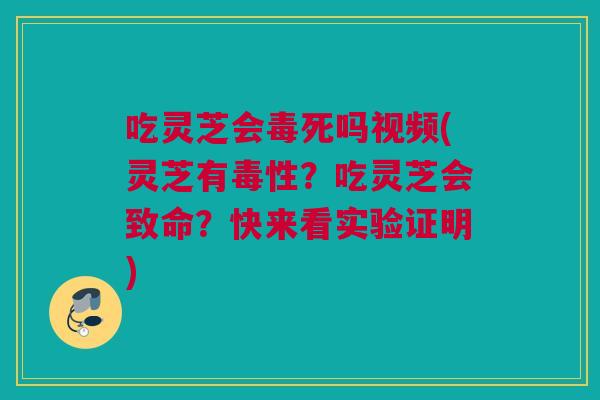 吃灵芝会毒死吗视频(灵芝有毒性?吃灵芝会致命?快来看实验证明) 吃灵芝会毒死吗视频(灵芝有毒性?吃灵芝会致命?快来看实验证明)