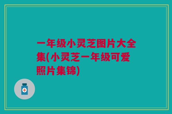 一年级小灵芝图片大全集(小灵芝一年级可爱照片集锦) 一年级小灵芝图片大全集(小灵芝一年级可爱照片集锦)