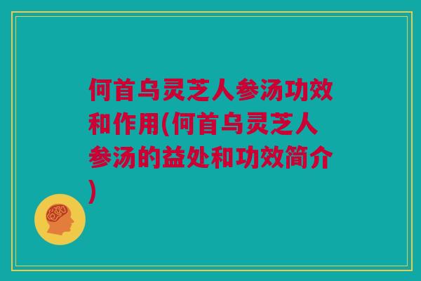 何首乌灵芝人参汤功效和作用(何首乌灵芝人参汤的益处和功效简介)