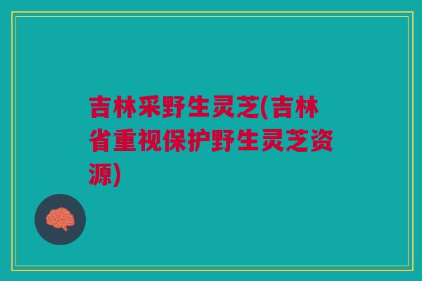 吉林采野生灵芝(吉林省重视保护野生灵芝资源)